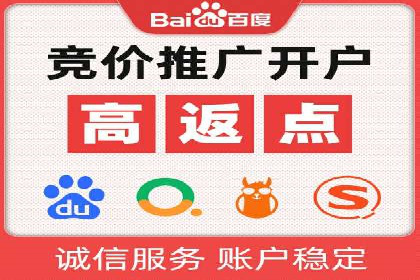 百度SEM代运营案例揭秘，如何实现ROI最大化